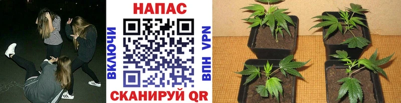 Названия наркотиков Юрьевец Бошки Шишки  Альфа ПВП  Гашиш  Мефедрон  Cocaine 
