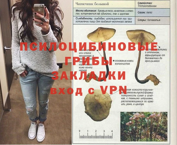 jwh Алзамай