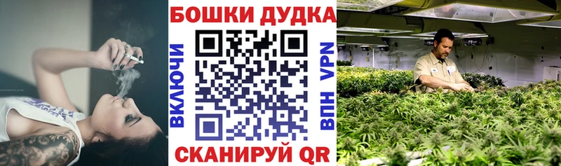 Бошки Шишки семена наркошоп MEGA ТОР Юрьевец